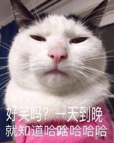 聊天斗图不用愁！这份精选表情包包收好