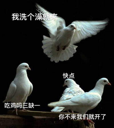 打工人/学生党必存！这套鸽子表情包完美还原你和朋友的日常
