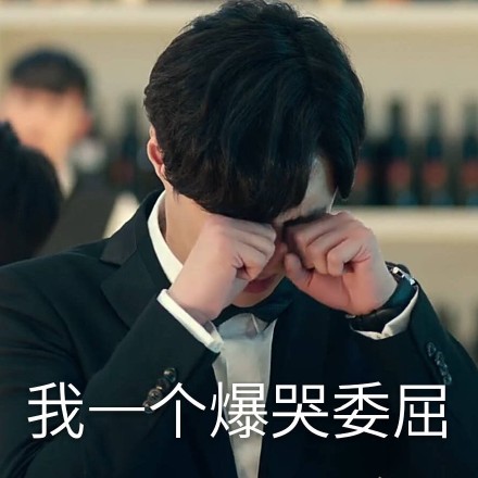 张艺兴求婚大作战表情包合集