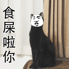 养猫斗图党看过来！这套小猫惊恐表情包太好用了