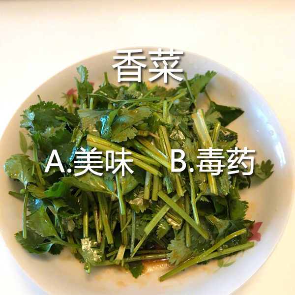 测测你能不能遇上和你喜好完全一致的有缘人