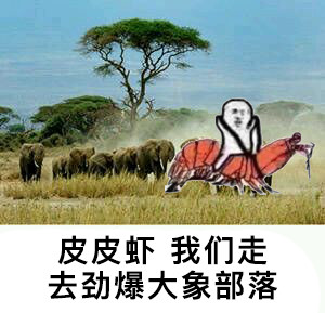 1月26日热门表情包合集来啦