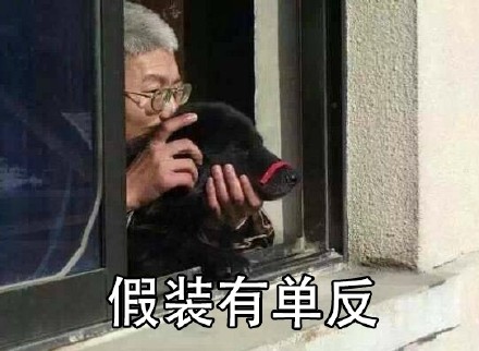 「皮皮虾，我们走」全套斗图表情包合集