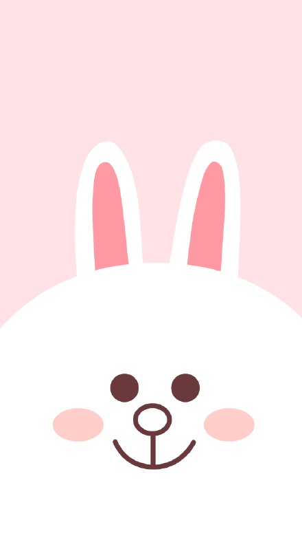LINE FRIENDS布朗熊可妮兔莎莉鸡壁纸合集来啦