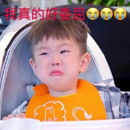 萌娃界斗图顶流！嗯哼杜宇麒专属表情包合集