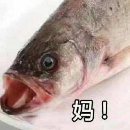 鱼头版喊人表情包来啦！