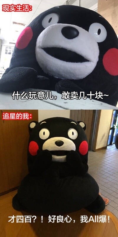 追星前后的我反差有多大？这套熊本熊表情包太真实了