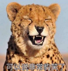 超火的“非常豹笑”表情包合集来了