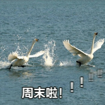 终于等到周末啦！