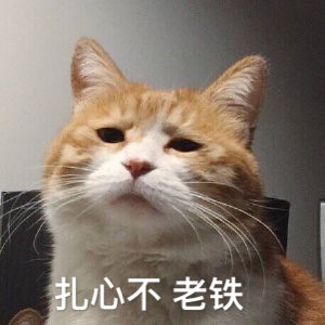 1月14日热门斗图表情合集