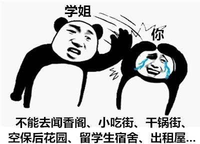 大学生斗图新宠！这套学姐表情包火了