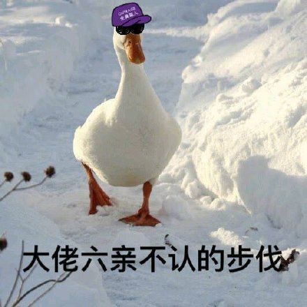 超实用小鸭子表情包合集