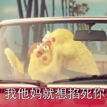 被你冷落之后的反应？这套鹦鹉兄弟表情包太真实了