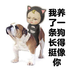 快存！全套sadayuki表情包直接抱走