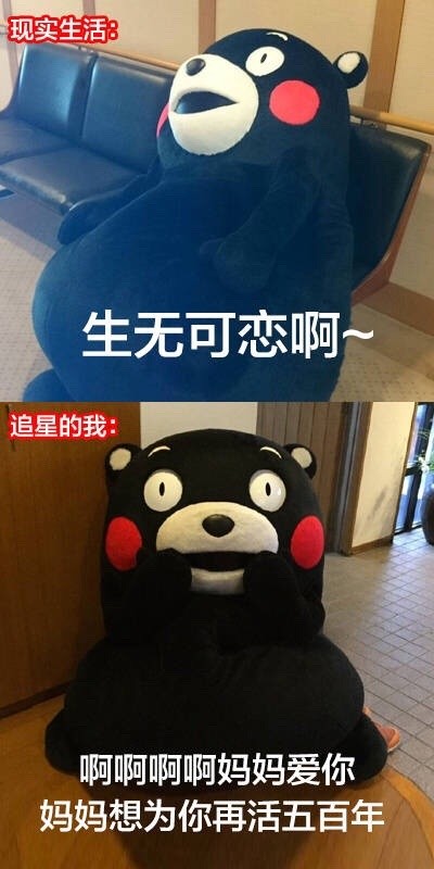 追星前后的我反差有多大？这套熊本熊表情包太真实了