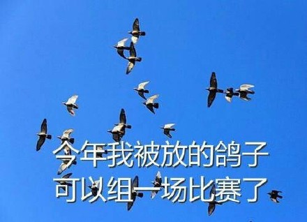 打工人emo专属！这套“惨到离谱”表情包太戳人了