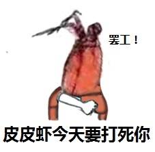 不想出门的皮皮虾这套表情包火了