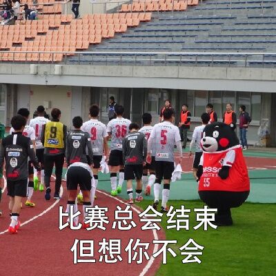 世界杯熊本熊土味情话合集