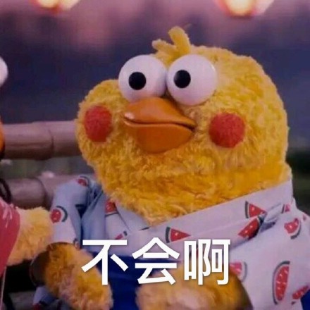 这套鹦鹉兄弟表情包火了！“你的良心不会痛吗”怼人超好用