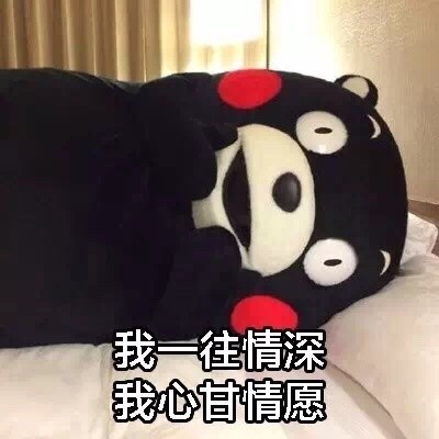 期末复习emo了？这套熊本熊版《一人我饮酒醉》表情包太绝了