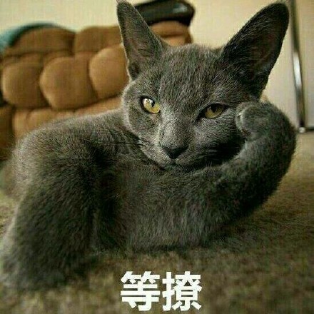 超实用！这套猫咪表情包帮你精准表达情绪