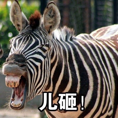 快把这套表情发给你家“儿砸”