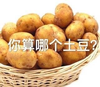 “你算个什么东西？”系列怼人表情包合集
