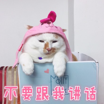 花脸喵星人表情包来啦！斗图又有新素材了