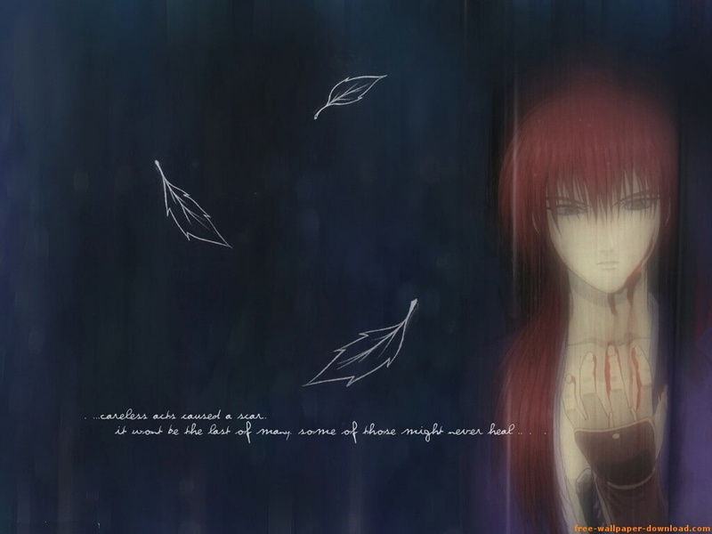 动漫风格飞鸟空中特写壁纸