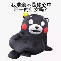 熊本熊撩人表情包合集来啦