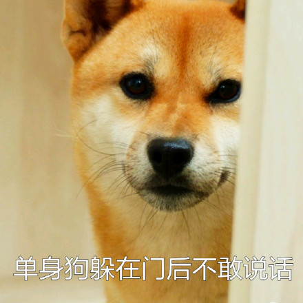 # 火遍全网的柴犬Doge，才是表情包界的老大哥