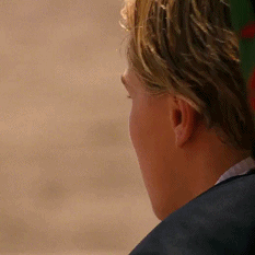 《罗密欧与朱丽叶》莱昂纳多经典动图合集