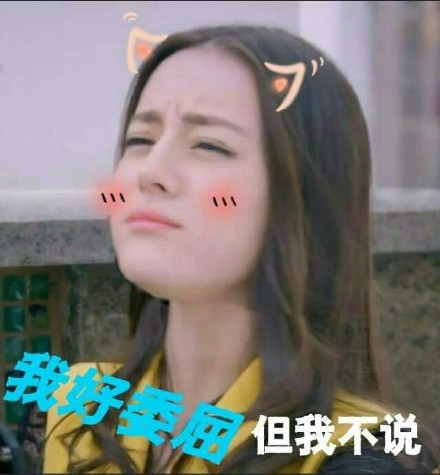 胖迪迪丽热巴专属表情包合集来啦