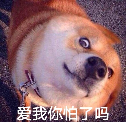 聊天怼人神器！瞪眼Doge表情包合集