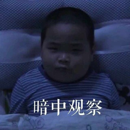 乡爱谢飞机表情包火了！斗图党速存