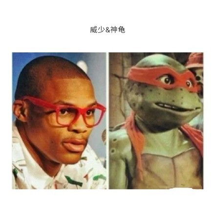 救命！这些运动球居然和明星撞脸了
