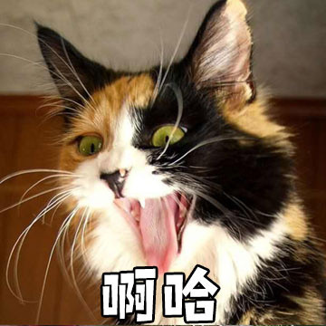 情侣互动感拉满！这套“娘子 啊哈”表情包太适合拌嘴秀恩爱了