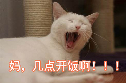 父女对话表情包火了！一句“我妈呢”戳中多少人的日常