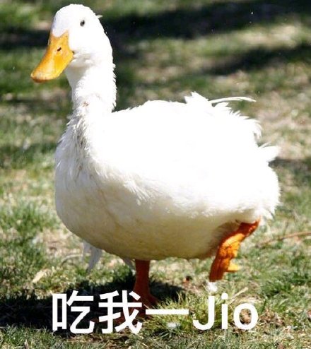 超实用小鸭子表情包合集