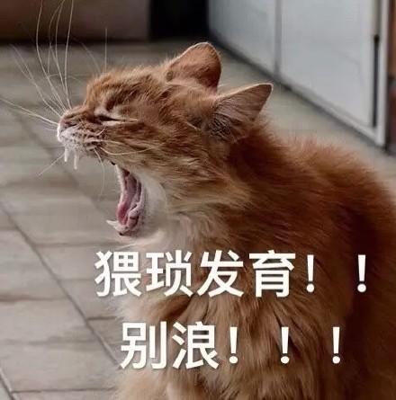 打游戏喊到嗓子哑？这套表情包完美戳中你的日常