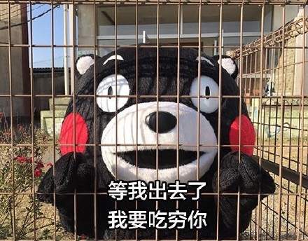 等我出去，我要把你们...熊本熊表情包合集