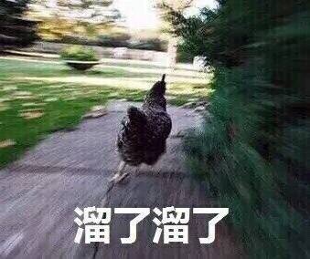 高考完直接开摆！这套“溜了去浪”表情包太戳人了