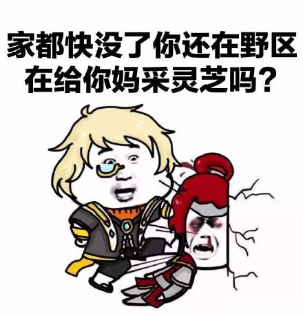 王者荣耀怼人表情包合集 专为开黑队友准备