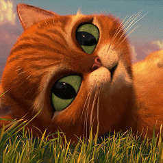 可爱到犯规！穿靴子的猫专属动图表情包合集