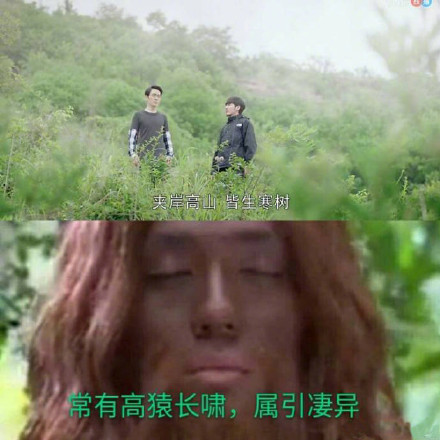 近期刷屏的镇魂表情包都在这了