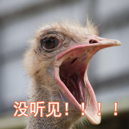 父女对话表情包火了！一句“我妈呢”戳中多少人的日常