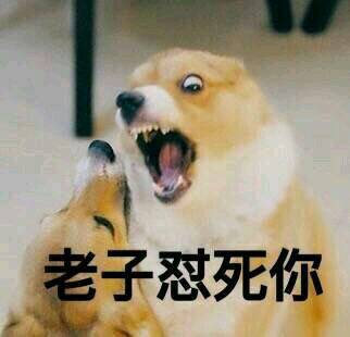 狗狗怼人表情包来啦！放话要和你当场battle谁更会怼