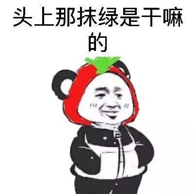 聊天斗图新选择！插兜系列表情包合集