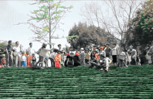 熊本熊滑草翻车名场面，笑到打鸣