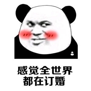 刷到这些表情包，感觉孤独终老的路更稳了